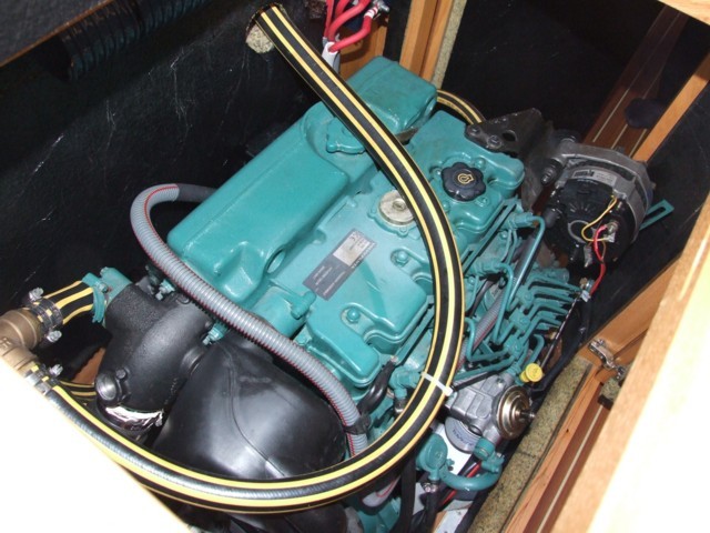 Cigale 16 -45.JPG